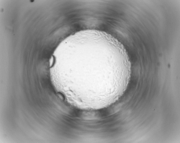 X0000088150181200705291432