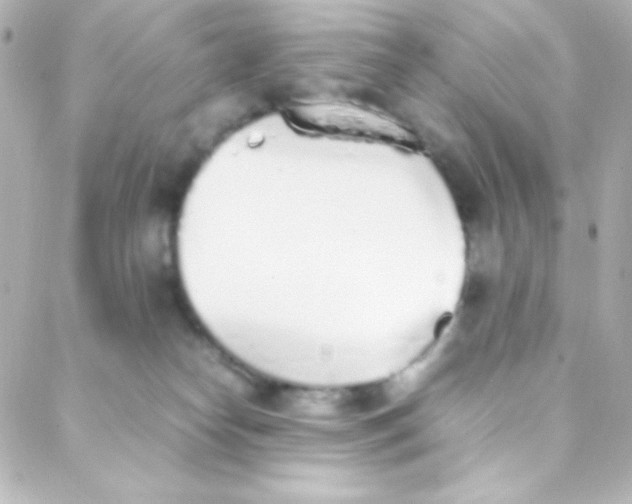 X0000088150182200705291432