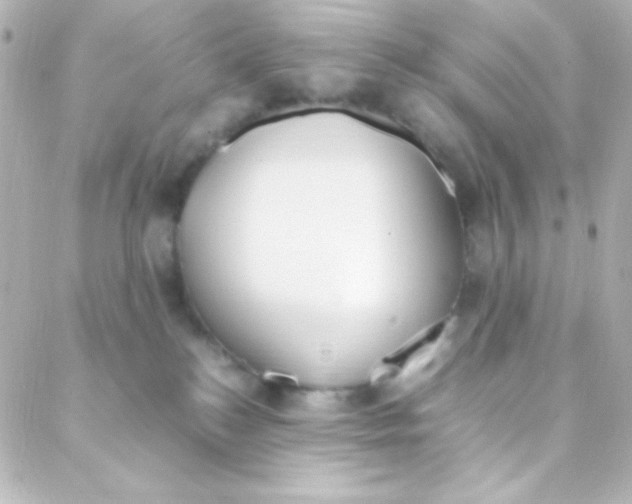 X0000088150184200705291432