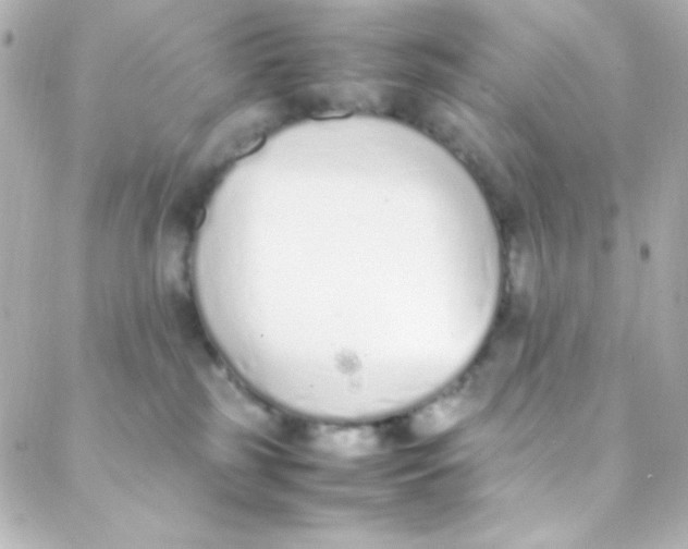 X0000088150185200705291432