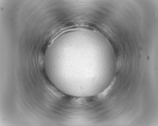 X0000088150186200705291432