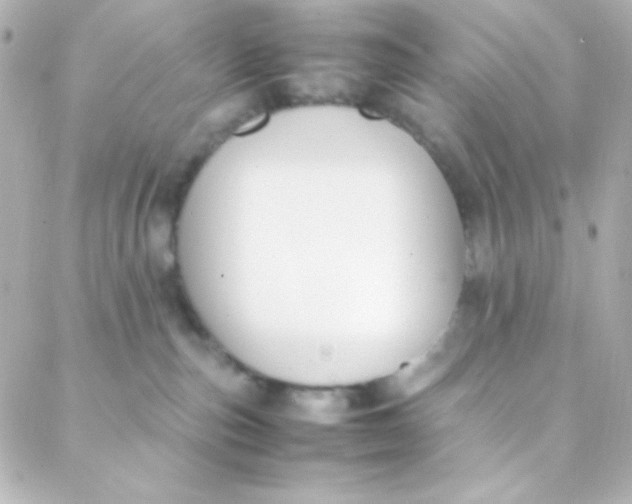 X0000088150187200705291432