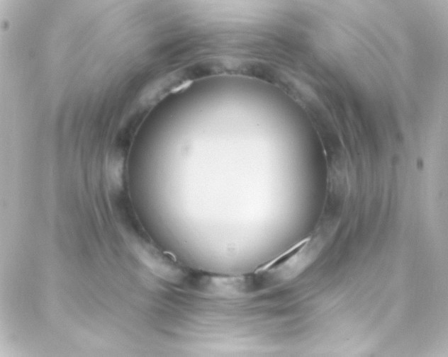 X0000088150188200705291432