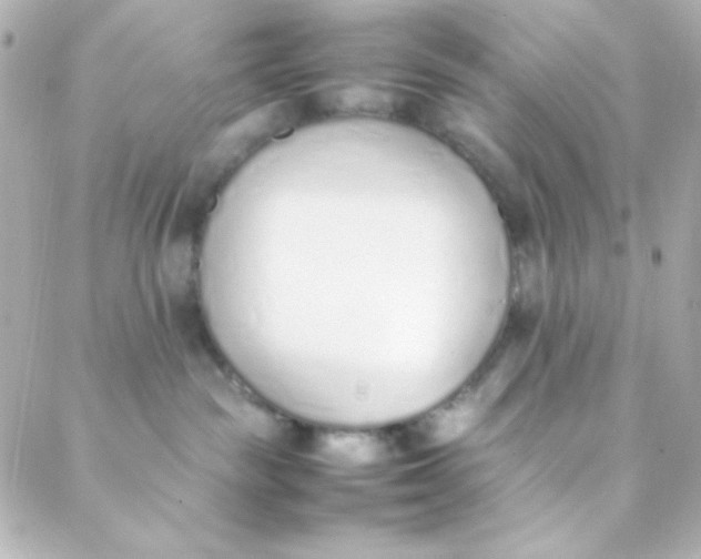 X0000088150189200705291432