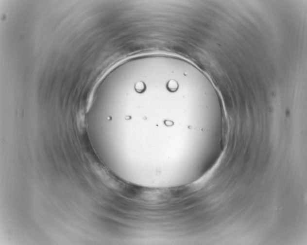 X0000088150190200705291432