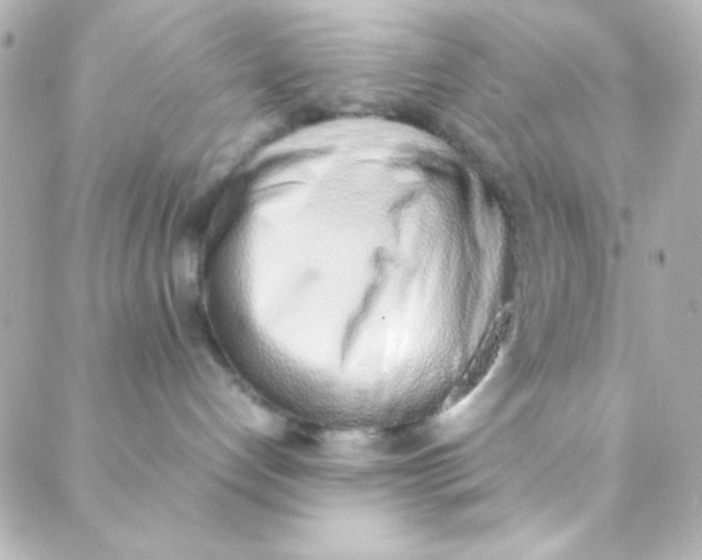 X0000088150192200705291432