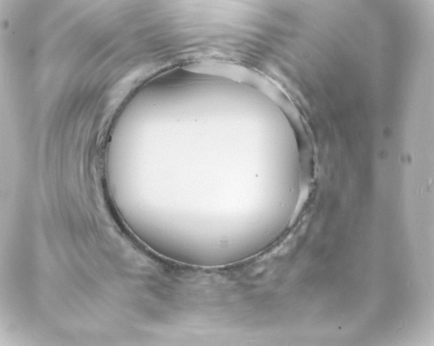 X0000088150193200705291431