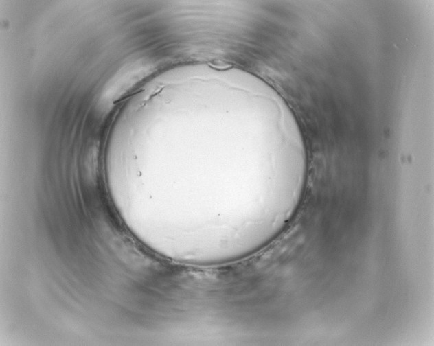 X0000088150194200705291431