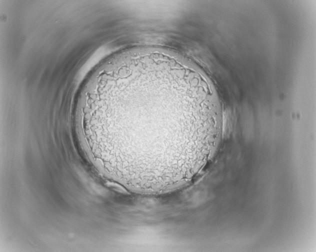 X0000088150195200705291431