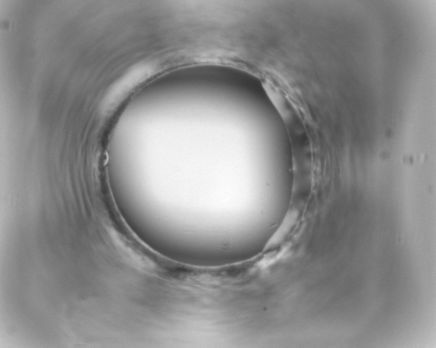 X0000088150197200705291431