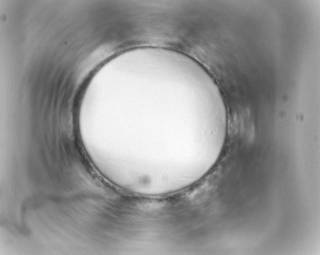 X0000088150198200705291431