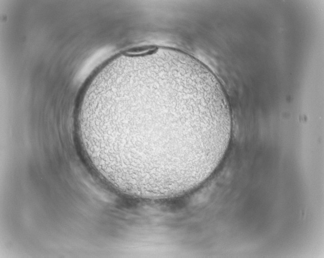 X0000088150199200705291431