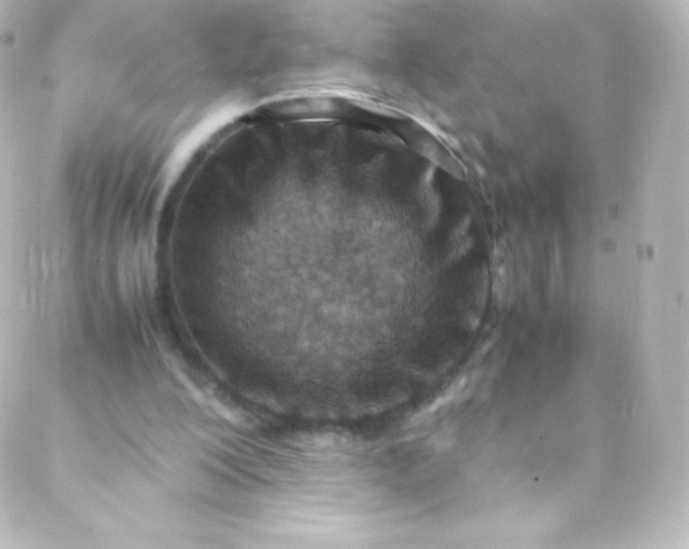 X0000088150200200705291431