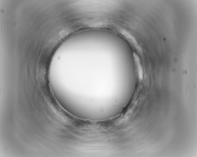 X0000088150201200705291431