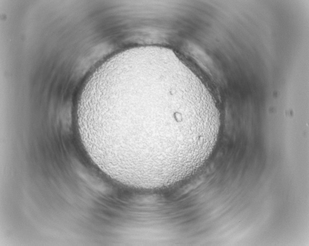 X0000088150202200705291431