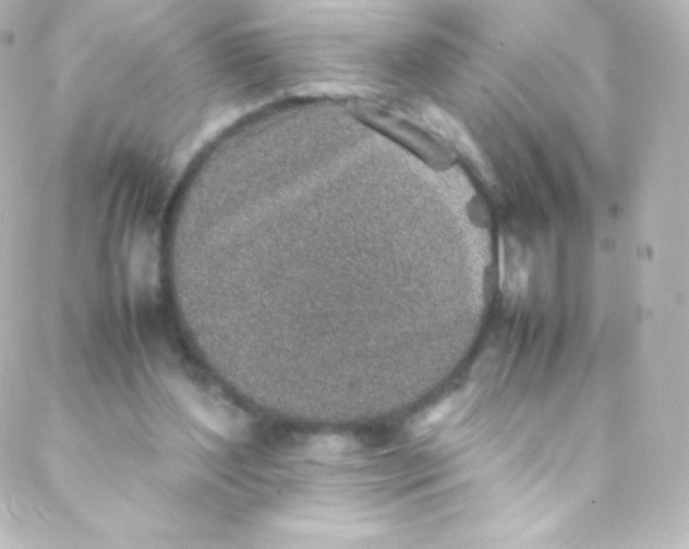 X0000088150204200705291431