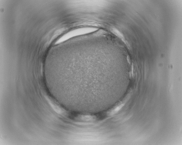 X0000088150205200705291431