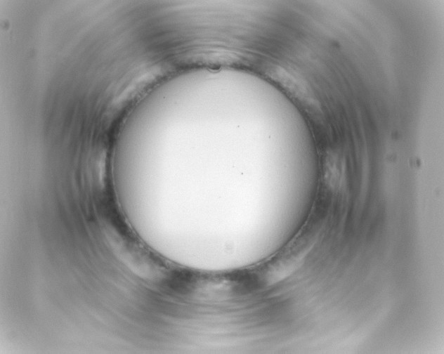 X0000088150206200705291431