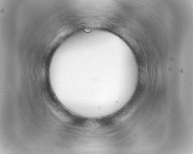 X0000088150207200705291431