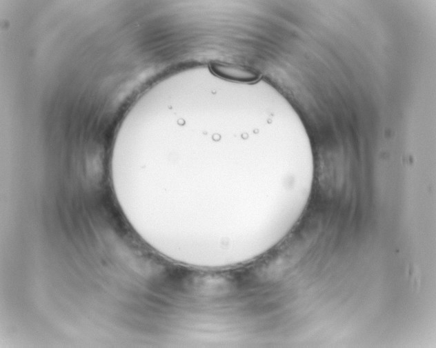 X0000088150208200705291431