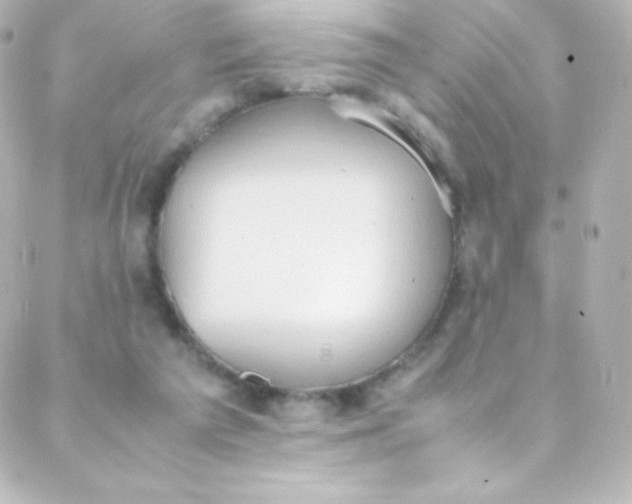 X0000088150209200705291431