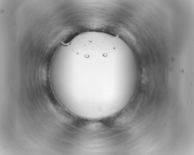 X0000088150210200705291431