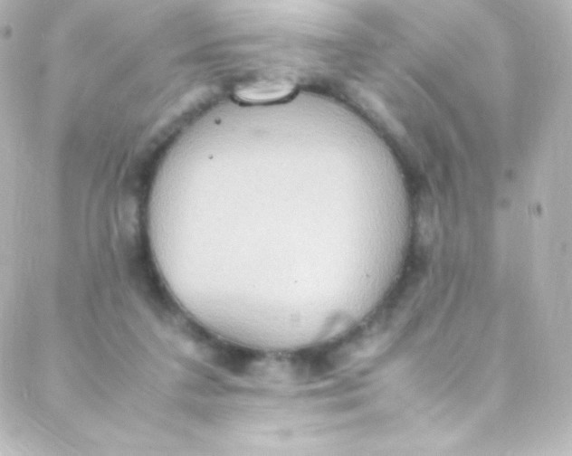 X0000088150211200705291431