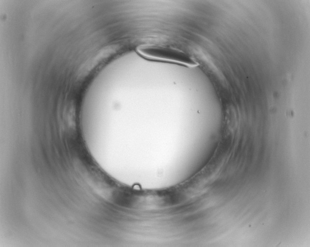 X0000088150212200705291431