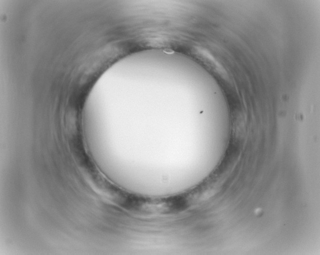 X0000088150213200705291431