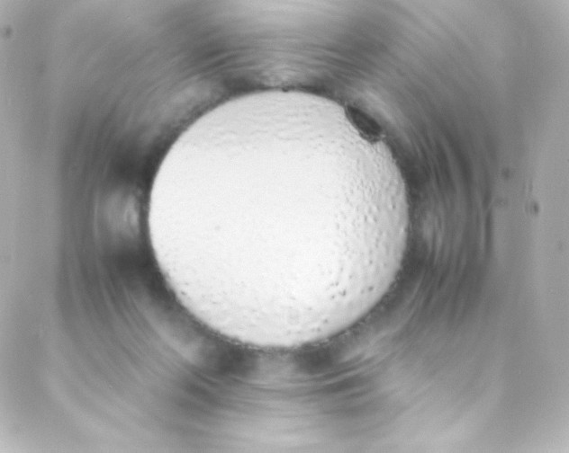 X0000088150214200705291431