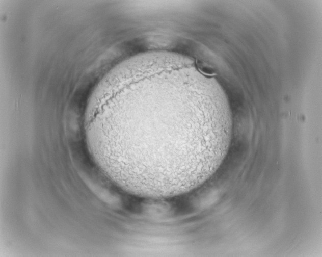 X0000088150215200705291431