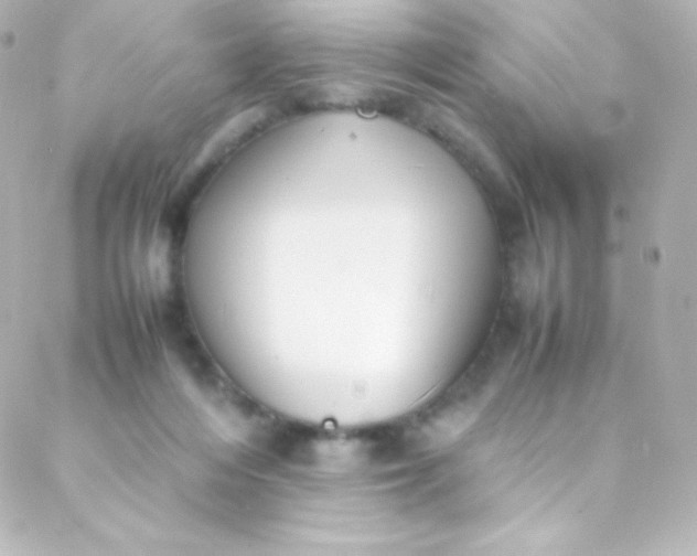 X0000088150216200705291431