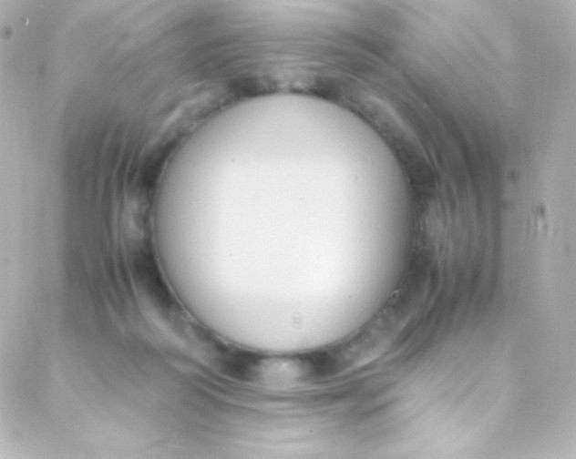 X0000088150218200705291431