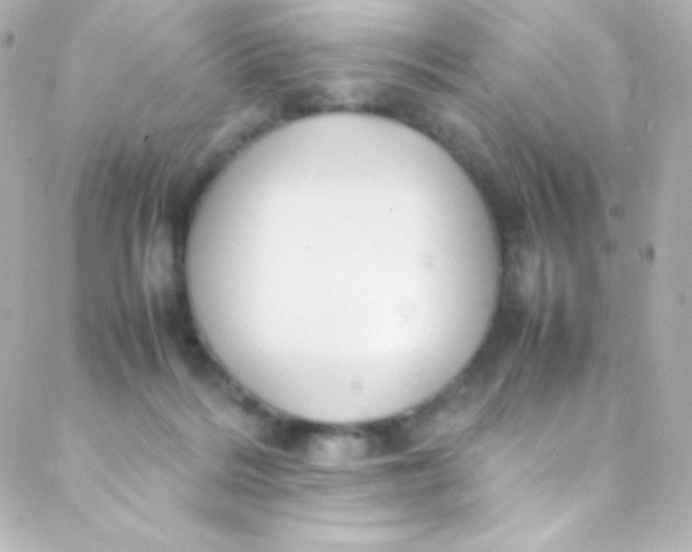 X0000088150220200705291431