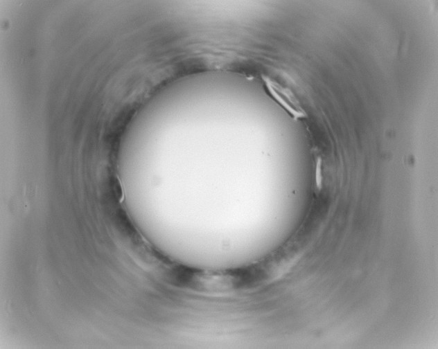 X0000088150221200705291431