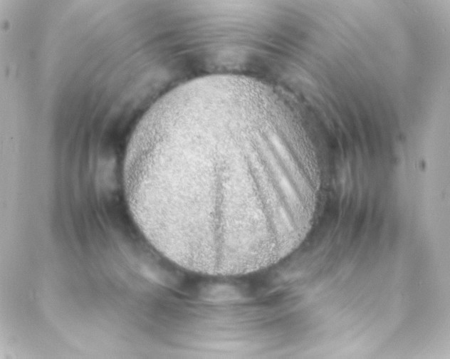 X0000088150224200705291431