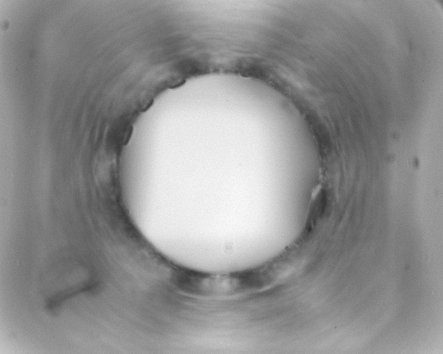 X0000088150225200705291431