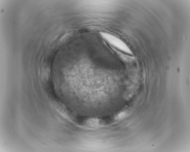 X0000088150227200705291431