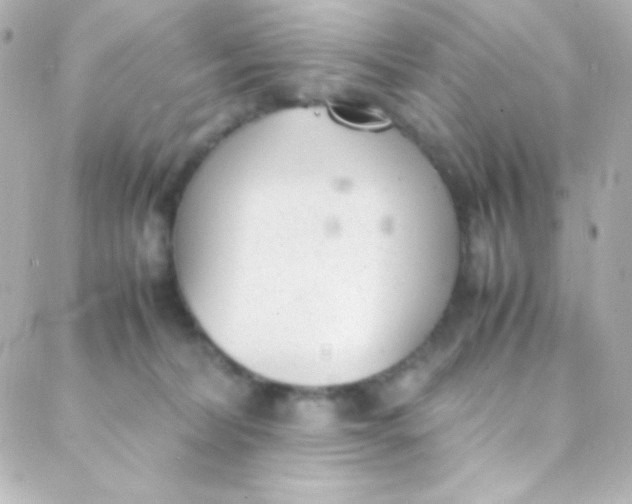 X0000088150228200705291430