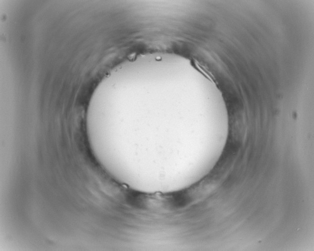 X0000088150229200705291430