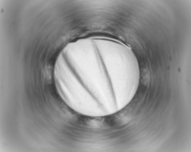 X0000088150232200705291430