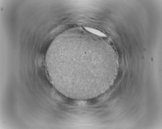 X0000088150233200705291430