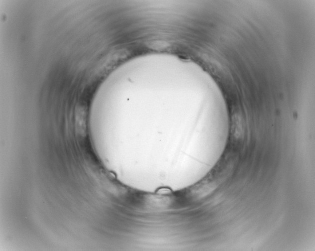 X0000088150234200705291430