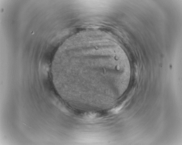 X0000088150235200705291430