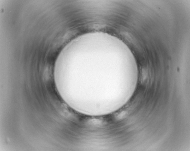 X0000088150236200705291430