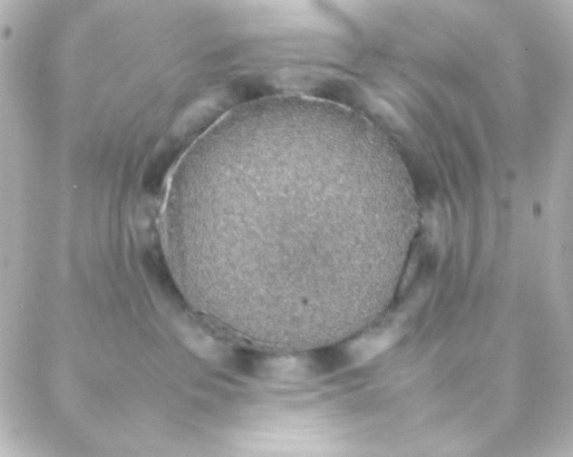 X0000088150237200705291430