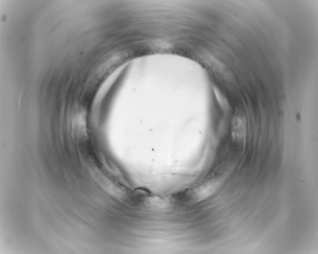 X0000088150238200705291430