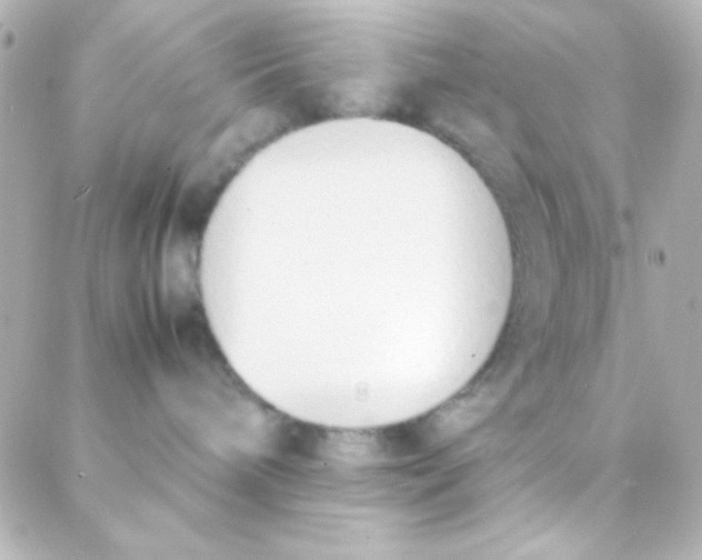 X0000088150240200705291430