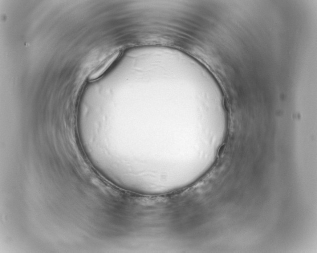 X0000088150241200705291430