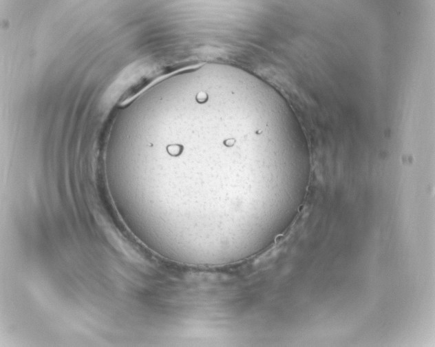 X0000088150242200705291430